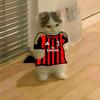 ℝ𝕒𝕗𝕚𝕕'ForzaMilan