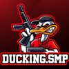 ducking.smp