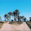 ali.djerba5