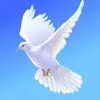 marcela.quispe52