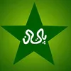 CRICKET VIBES