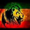 fireras23