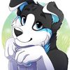 cerberus_17