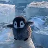jamwa_7