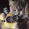 molya_jon