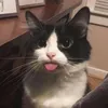 tiktokshopniminzy