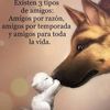 enrriquetomasino