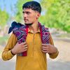 its...ali31