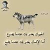 alsrawqxv7a