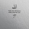 hamda8593