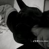 ktoria.steee