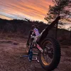 betanark_09