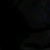 nur_..01
