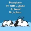 paolatimo6