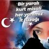 ayten.gezer5