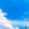 pratama.517
