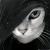 the_ghost_of_uchiha6