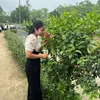 Điện máy Liễu Vân