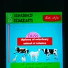arif.khattak.11.0