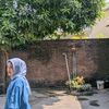 ayu.puji12