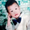 v.vn.hong4