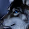 nick43043