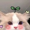 khin.k88