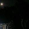 edi85133548