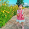 nhattran1520