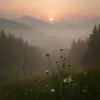somewheremagical_