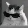 ajit_xettri_