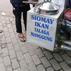 muhhad.mrday3