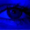 user8111131812481