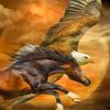 javed.khailfa