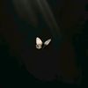 faiza_samdani_24