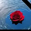 user44912770477182