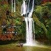 rouba.kassem0