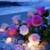 user8043111681170