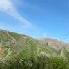 shexani481