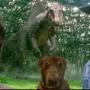 brachiosaurus1fan