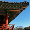 nhacuachoi