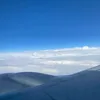 aliahy6