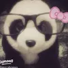 pandaa_0w0