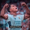 anaas_ftbl8