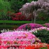 kyaw.soe2345