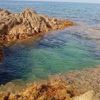 nedjma.tebbouche