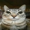 jaba_155