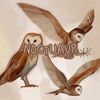 noctuavr