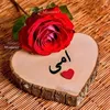 user880119884178