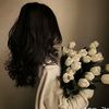 shamsmohamed735